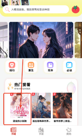 爽文小说阅读器app手机版