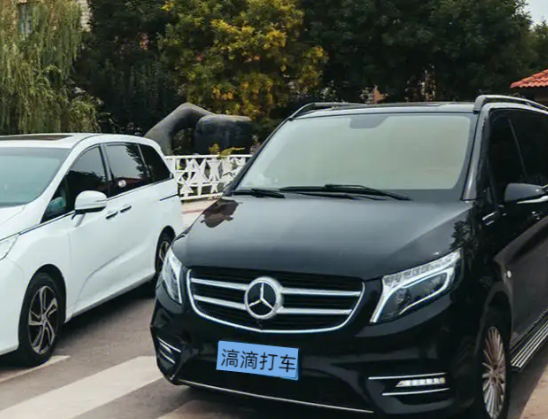 滈滴打车宠物出行app