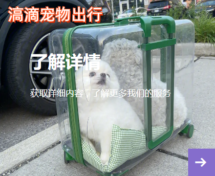 滈滴打车宠物出行app