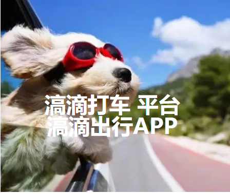 滈滴打车宠物出行app