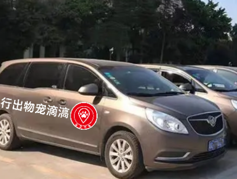 滈滴打车宠物出行app