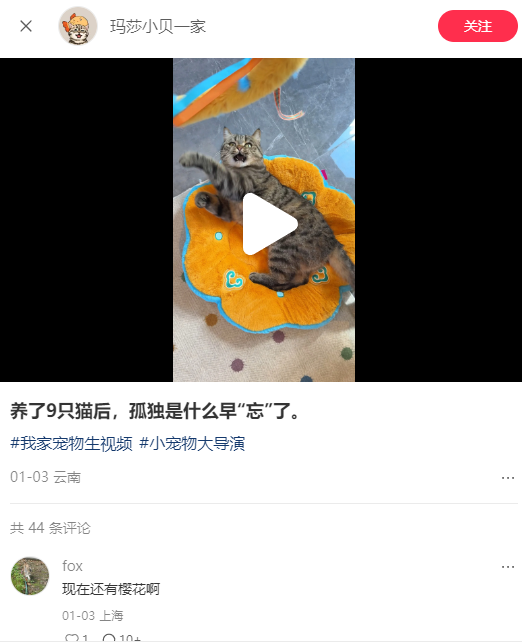 小红书app官方版1