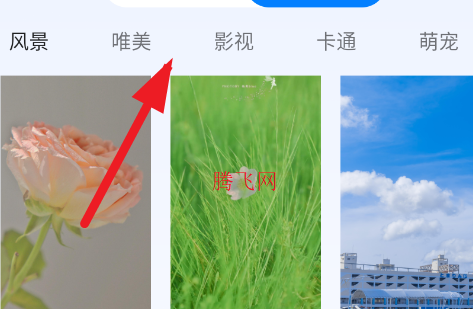 主题免费壁纸唯美高清图片app 主题免费壁纸唯美高清图片app
