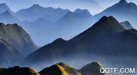 动静新闻app最新版 动静新闻app最新版