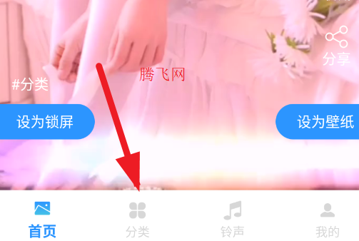主题免费壁纸唯美高清图片app 主题免费壁纸唯美高清图片app