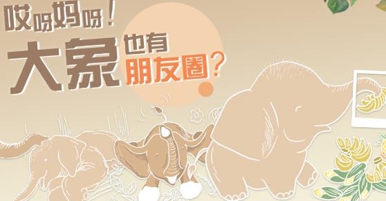 开屏新闻客户端官方版