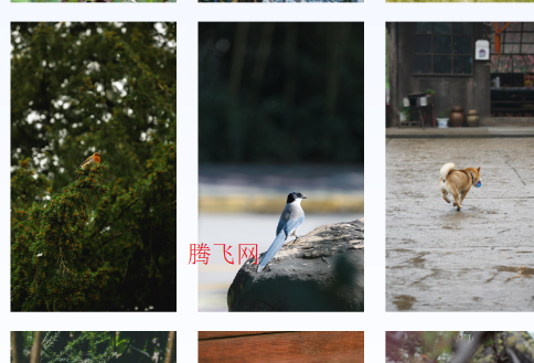 主题免费壁纸唯美高清图片app 主题免费壁纸唯美高清图片app