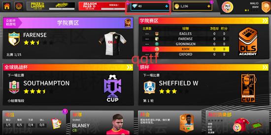 梦幻足球联盟2025官方版(DLS25) 梦幻足球联盟2025官方版(DLS25)