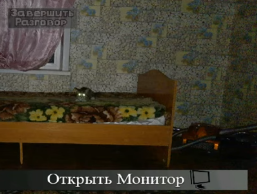 刺猬的五夜后宫游戏手机版2