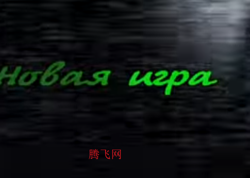 刺猬的五夜后宫游戏手机版