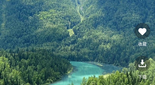 好看手机壁纸app官方版