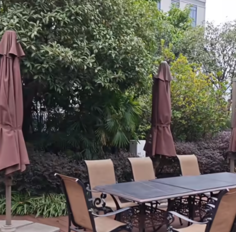 荣耀相机app官方版 荣耀相机app官方版