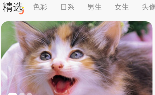 主题屋app官方版