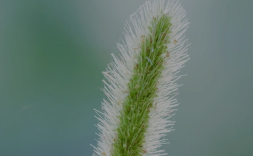 HyperOS壁纸app官方版 HyperOS壁纸app官方版