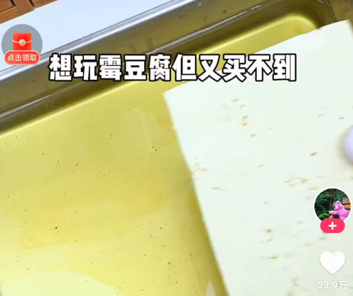 快手app官方正版2026