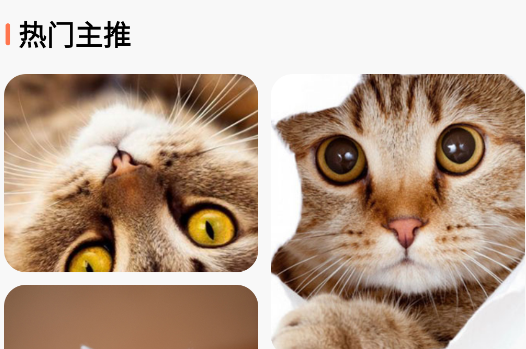 主题屋app官方版