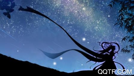 多多彩动态壁纸app最新版