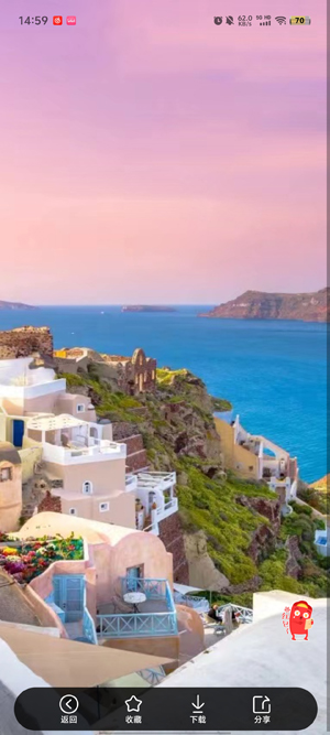 楠桦壁纸app最新版