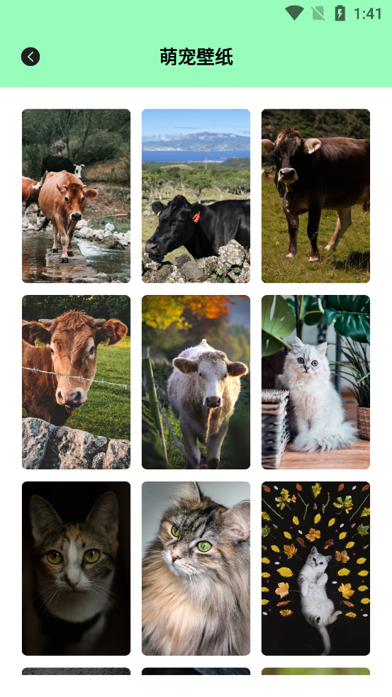 唯美桌面壁纸大全app最新版3