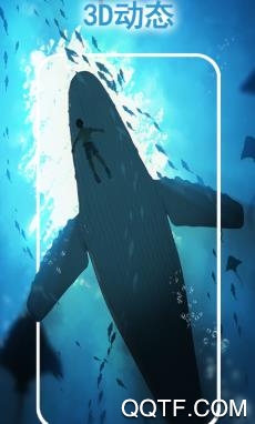 多多彩动态壁纸app最新版