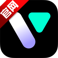 Vmake pro正版