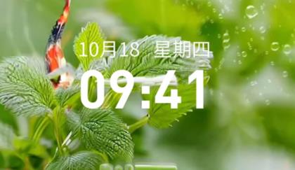 快闪壁纸app最新版 快闪壁纸app最新版