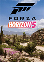 极限竞速地平线5豪华版