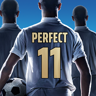 绿茵风云官方版(Perfect Soccer)