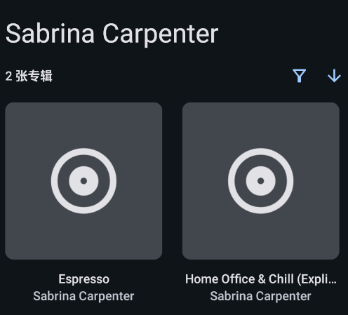 RS音乐播放器app手机版