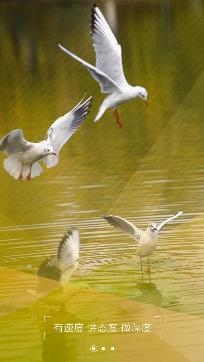 银川发布手机客户端