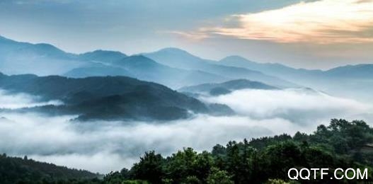 出彩桐城app最新版