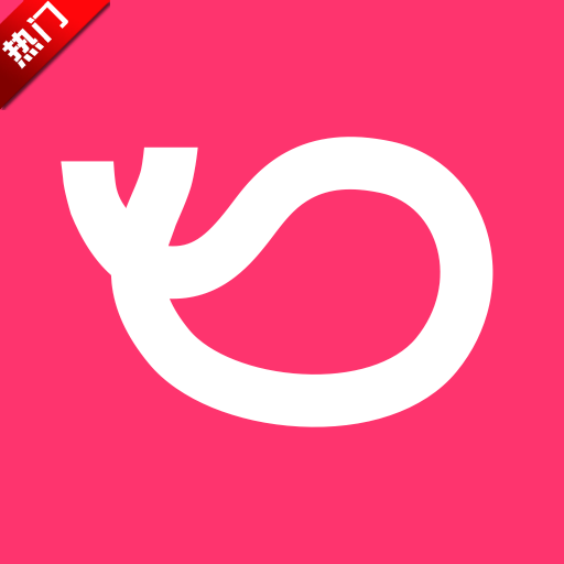 灰豚数据app下载官方版