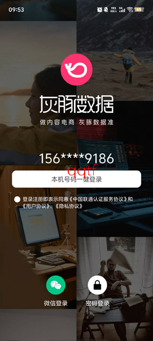 灰豚数据app下载官方版
