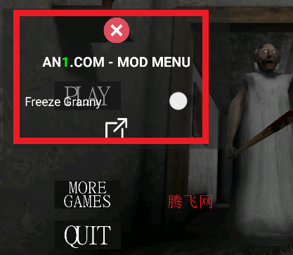 Granny恐怖孙子内置菜单版