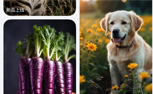 oppo主题商店测试版