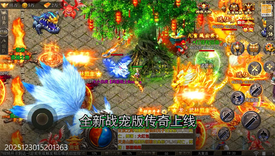 血饮天下宠宠打宝十二职业