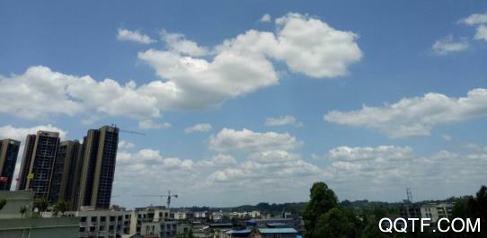 掌上青神手机客户端 掌上青神手机客户端