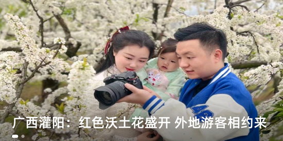 融慧灌阳app官方版