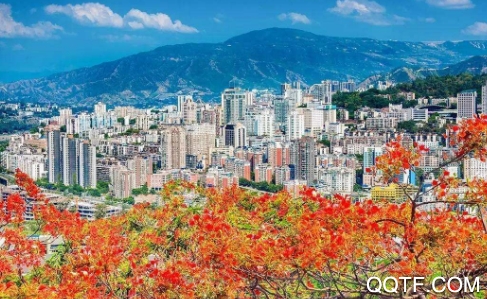 攀枝花公交车实时查询app安卓版