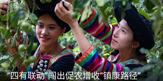 中国县域经济报app官方版 中国县域经济报app官方版