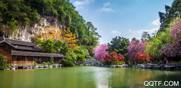 柳州1号新闻网app最新版