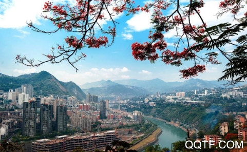 攀枝花公交车实时查询app安卓版