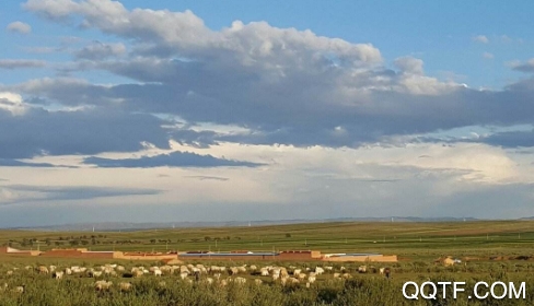 乌兰察布市公交app扫码支付