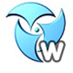 PUSH Video Wallpaper电脑版