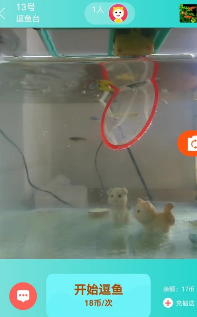 小猫逗鱼官方app下载 小猫逗鱼官方app下载