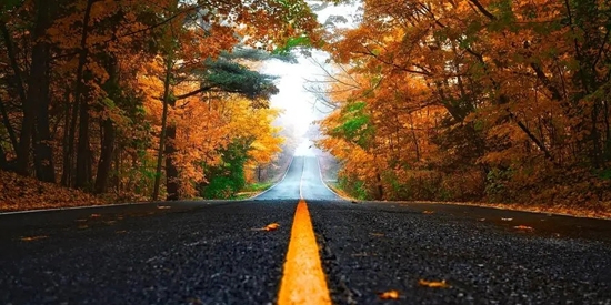 初萌壁纸app官方版