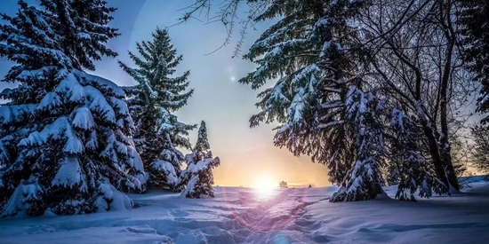 个性壁纸大全app最新版