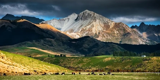 初萌壁纸app官方版