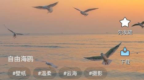 天天桌面壁纸app手机版 天天桌面壁纸app手机版