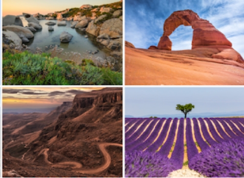 谷歌壁纸app官方版Google Wallpapers